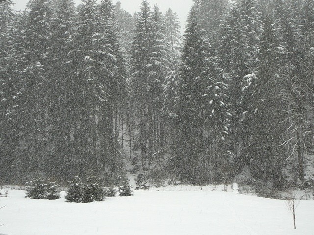 Gorski kotar